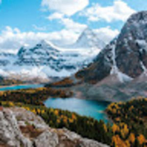 Meet your Posher, Cecilia